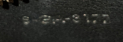 Tricolor Luggage Bag Leather Nano