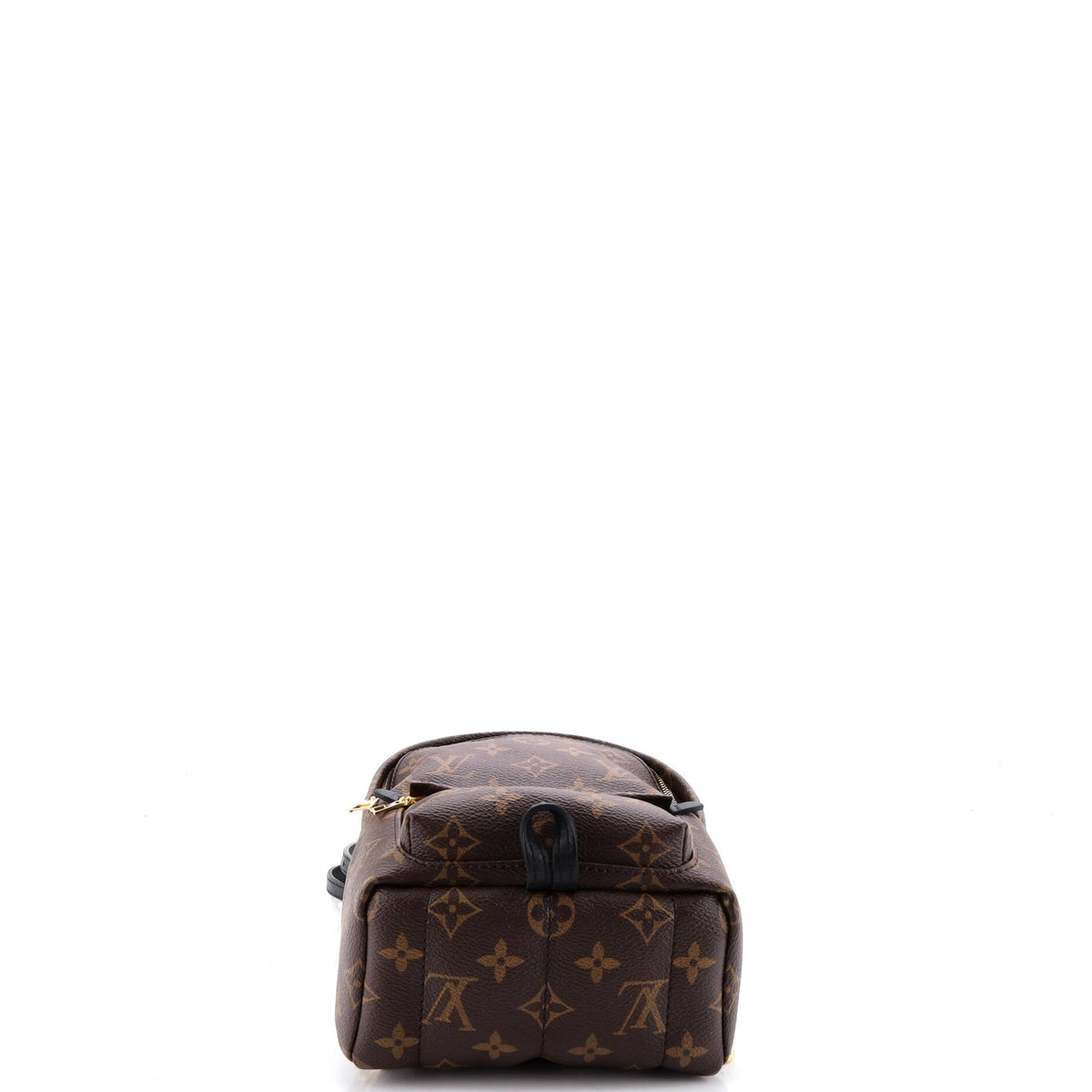 Palm Springs Backpack Monogram Canvas Mini