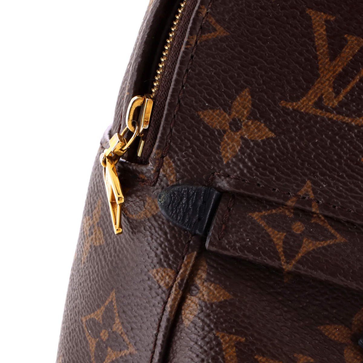 Palm Springs Backpack Monogram Canvas Mini