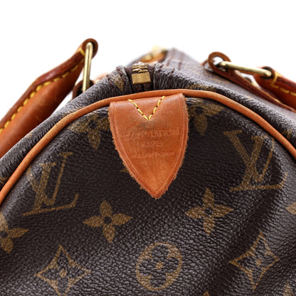 Speedy Handbag Monogram Canvas 30