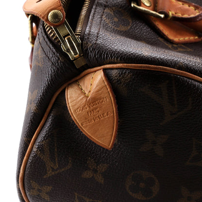 Speedy Handbag Monogram Canvas 30
