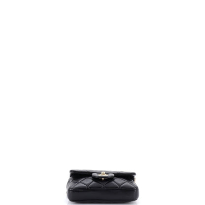 My Precious Pearls Waist Bag Quilted Lambskin Mini