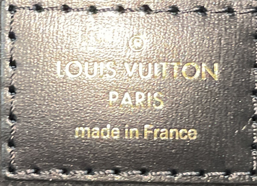 Vanity Handbag Reverse Monogram Canvas PM