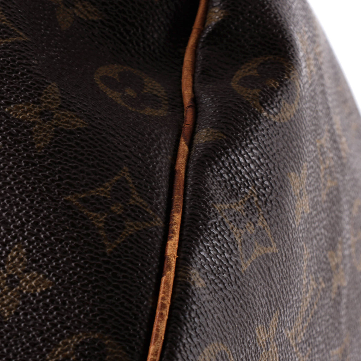 Speedy Handbag Monogram Canvas 35