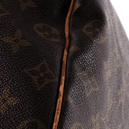 Speedy Handbag Monogram Canvas 35