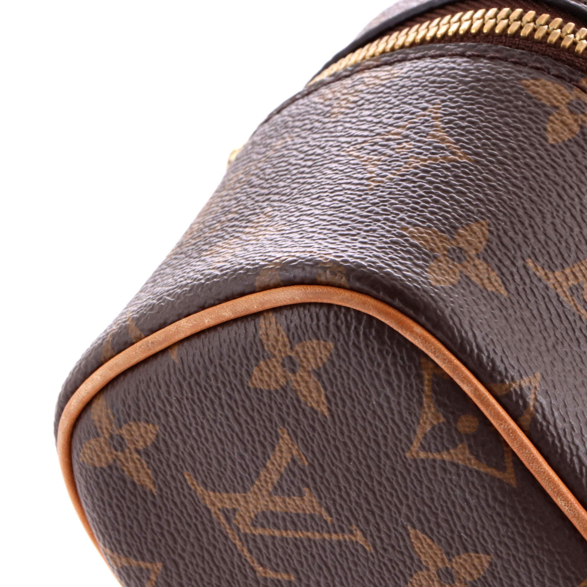 Nice Vanity Case Monogram Canvas Nano