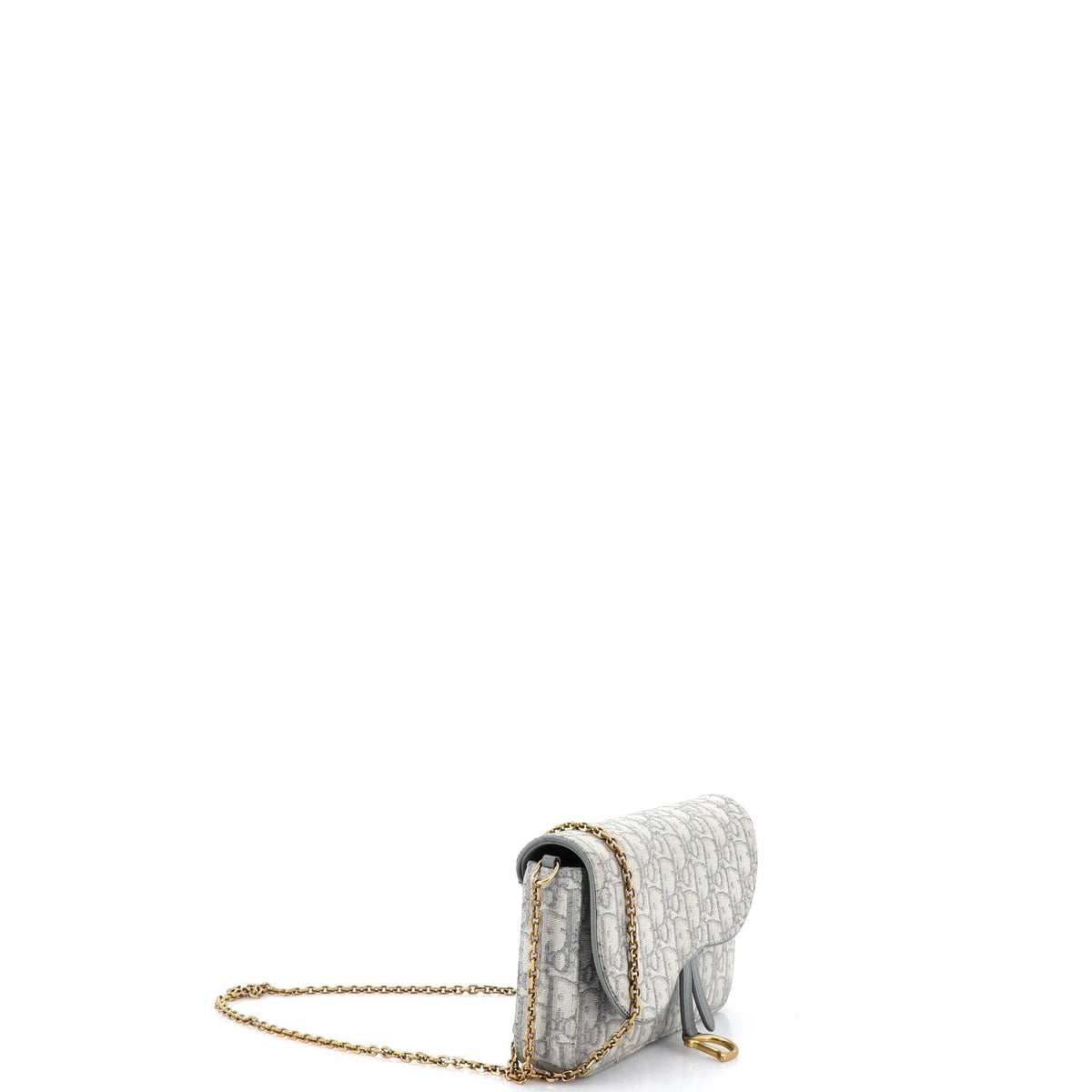 Saddle Chain Clutch Oblique Canvas