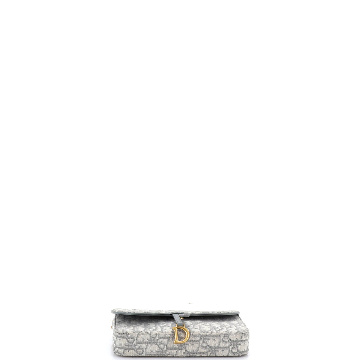 Saddle Chain Clutch Oblique Canvas