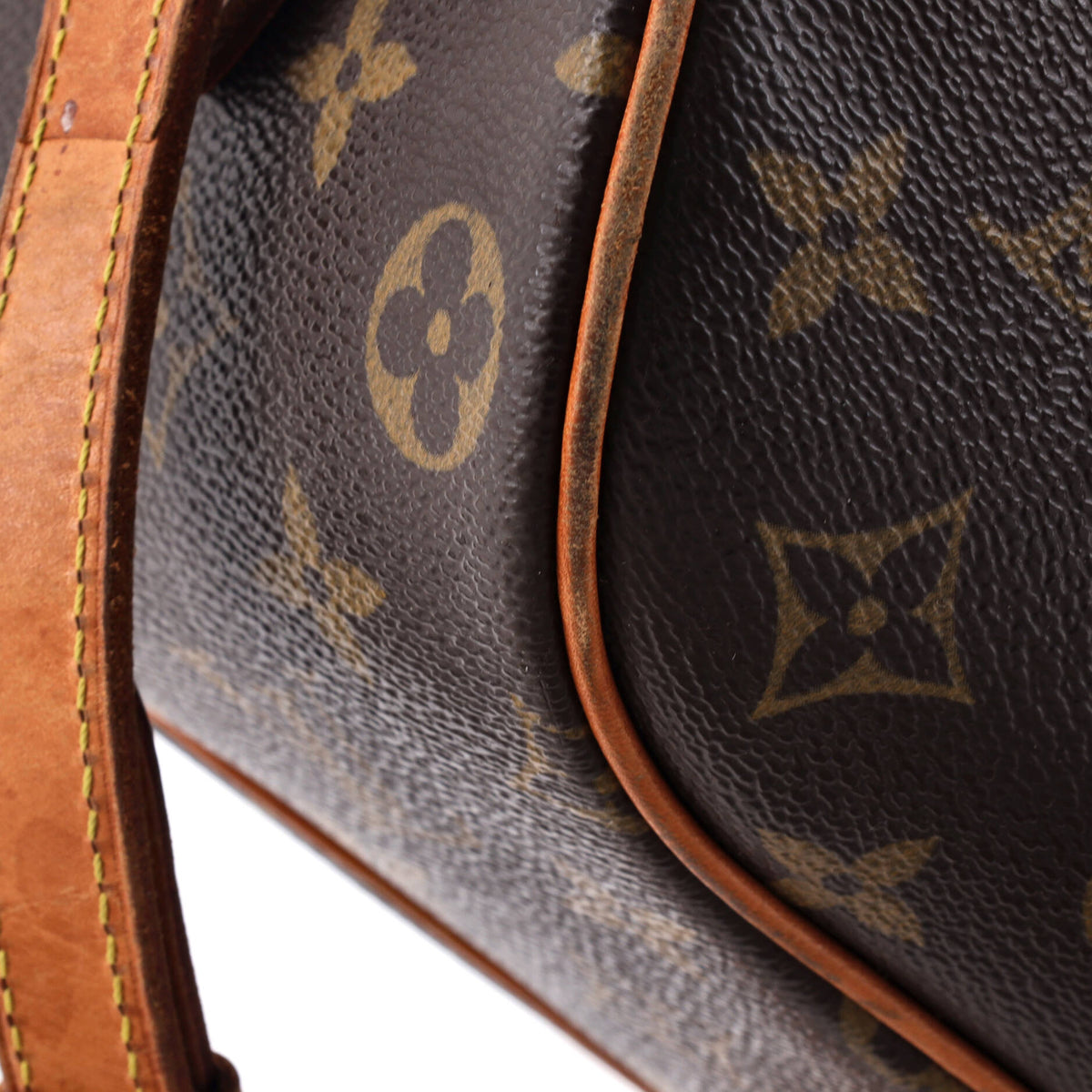 Blois Handbag Monogram Canvas