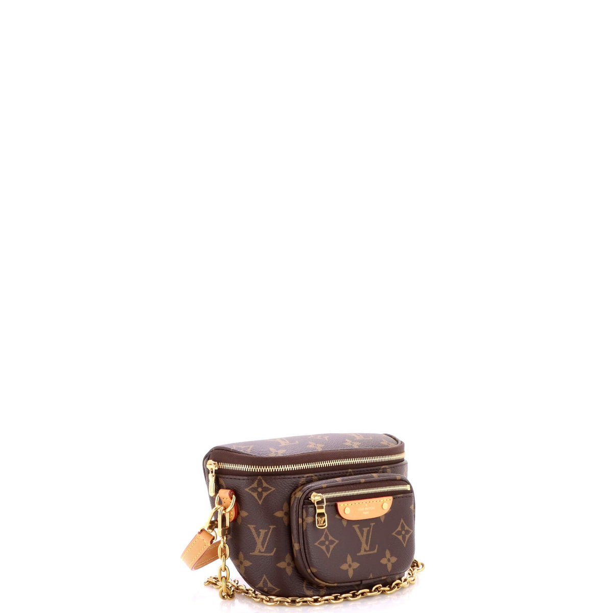 Bum Bag Monogram Canvas Mini