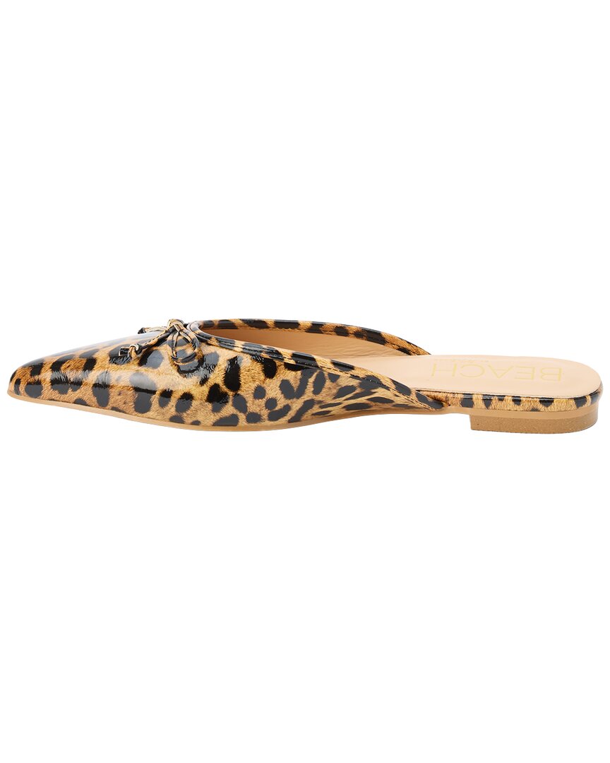 Leopard-