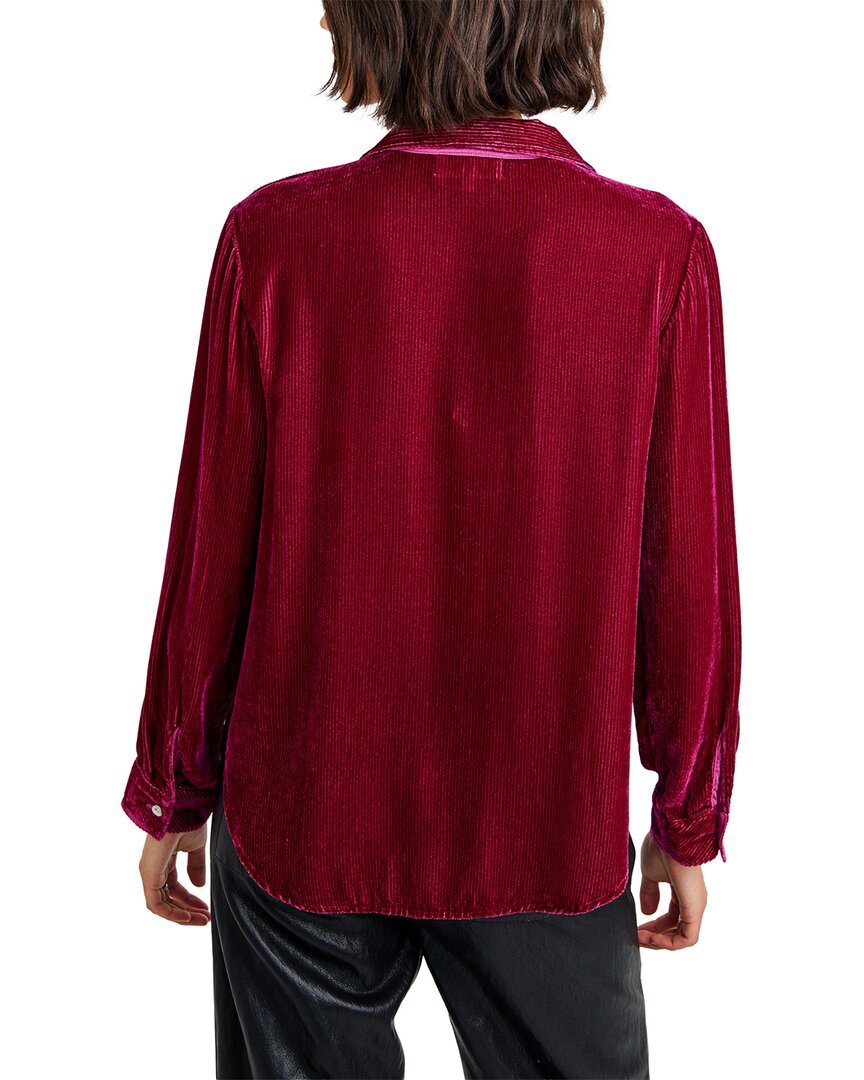 ICEM-ICED MULBERRY-