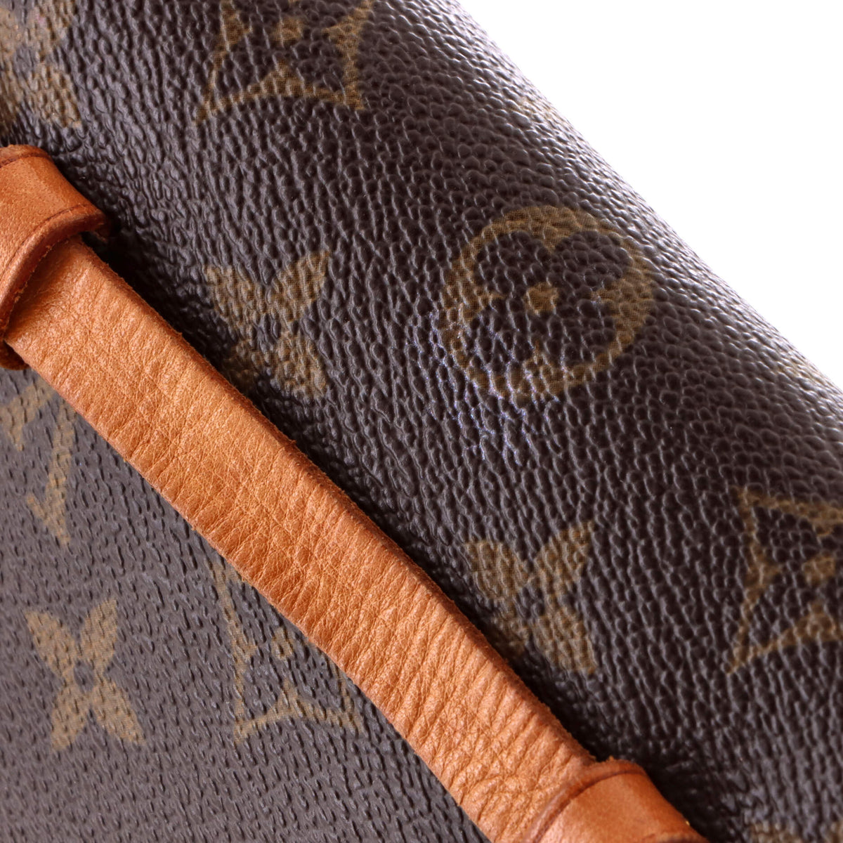 Florentine Waist Bag Monogram Canvas