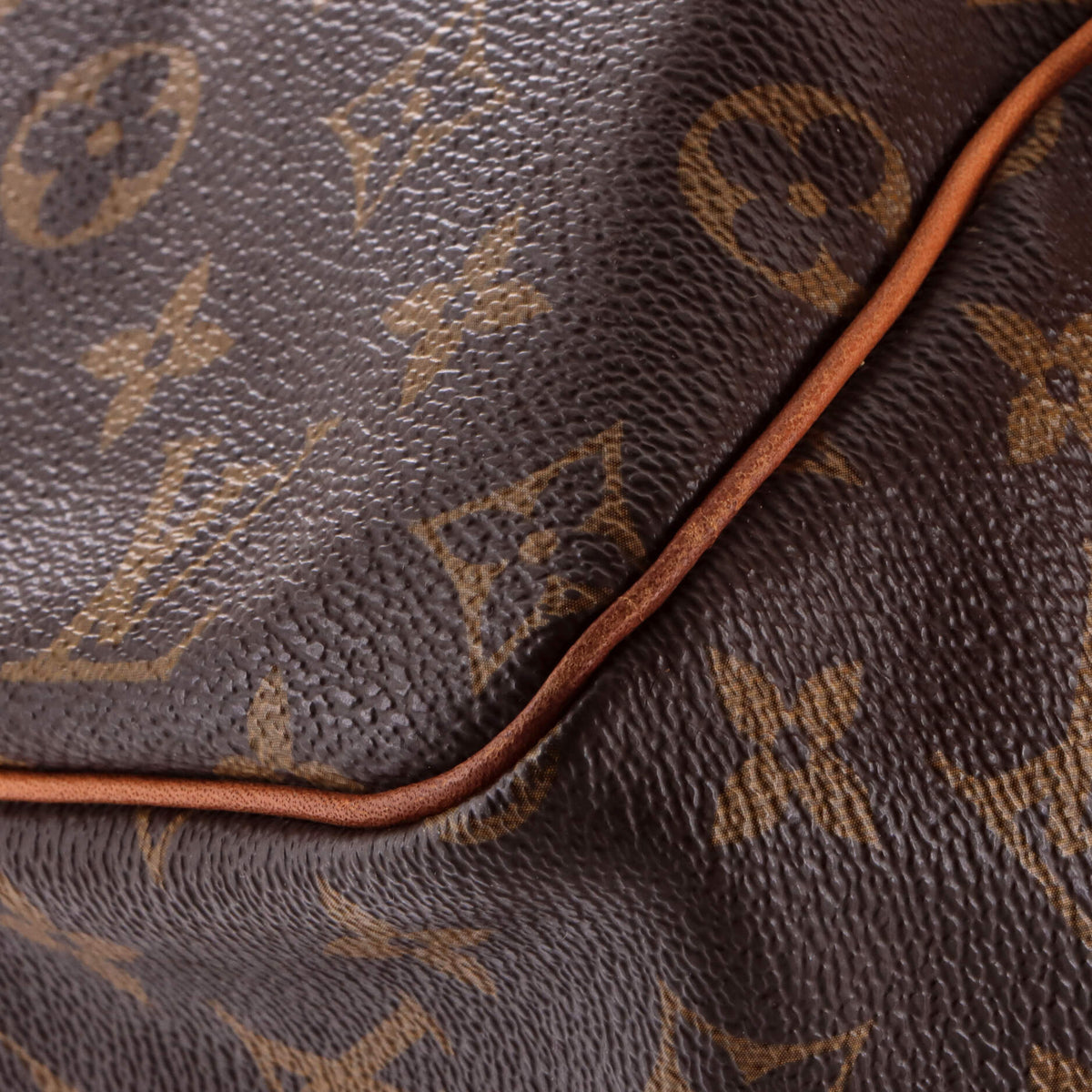 Speedy Handbag Monogram Canvas 30