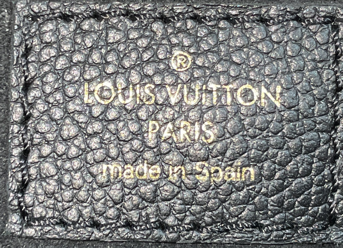 Petit Palais Handbag Bicolor Monogram Empreinte Giant