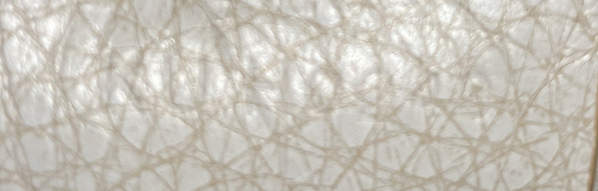Antigona Bag Leather Mini