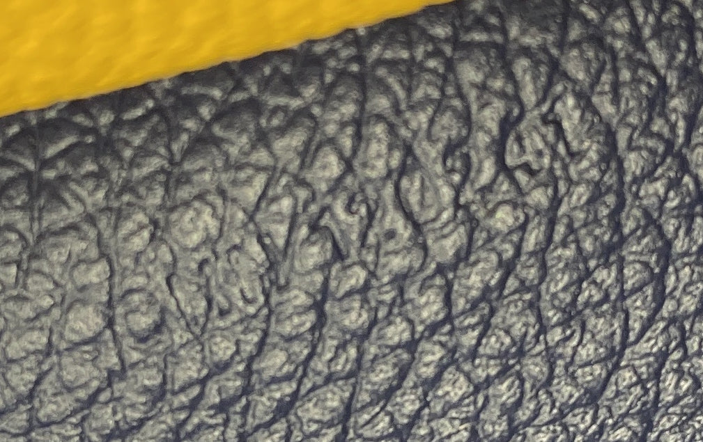 Chypre Wallet on Strap Coated Canvas with Leather