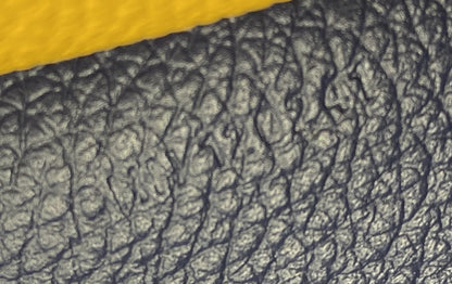 Chypre Wallet on Strap Coated Canvas with Leather