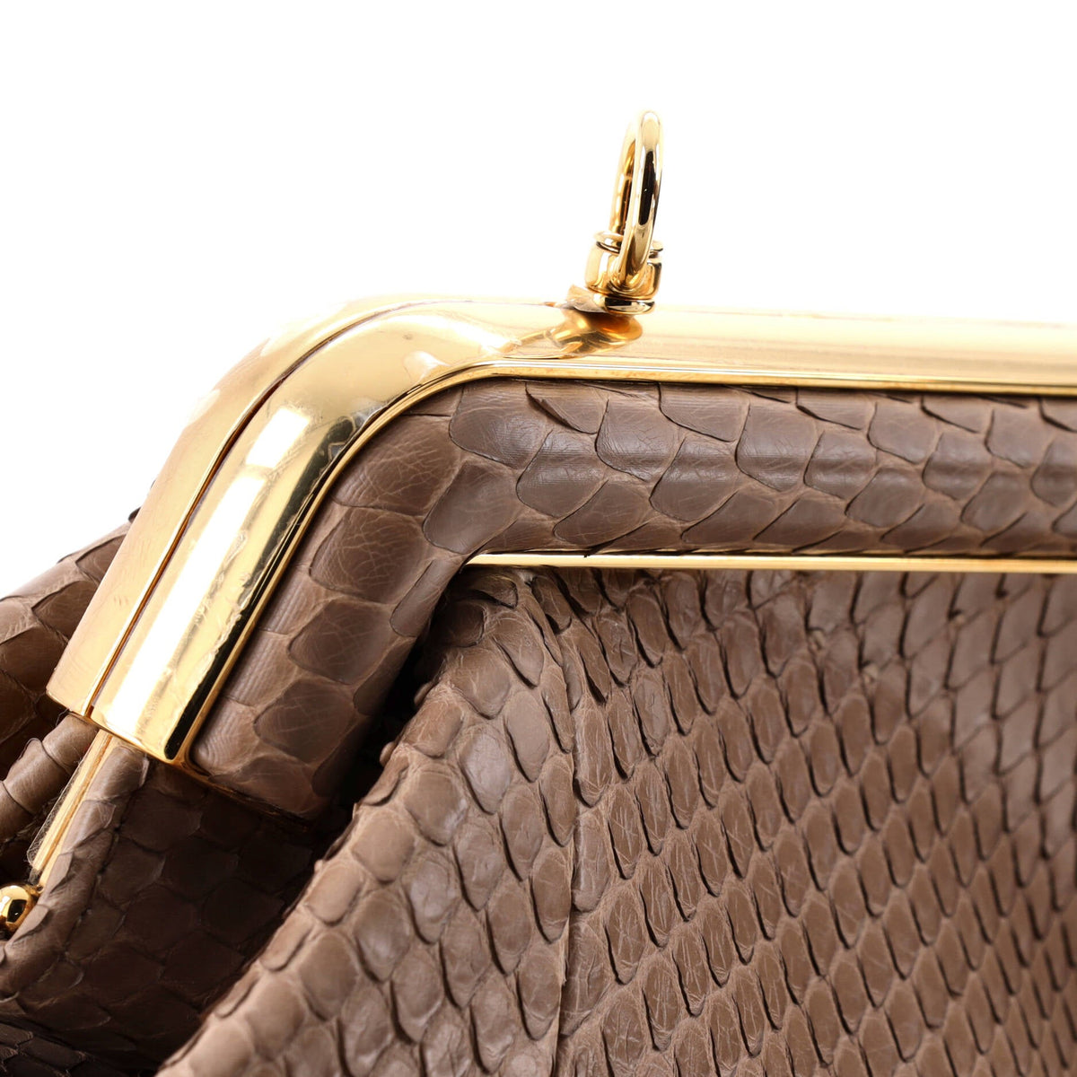 First Bag Python Small