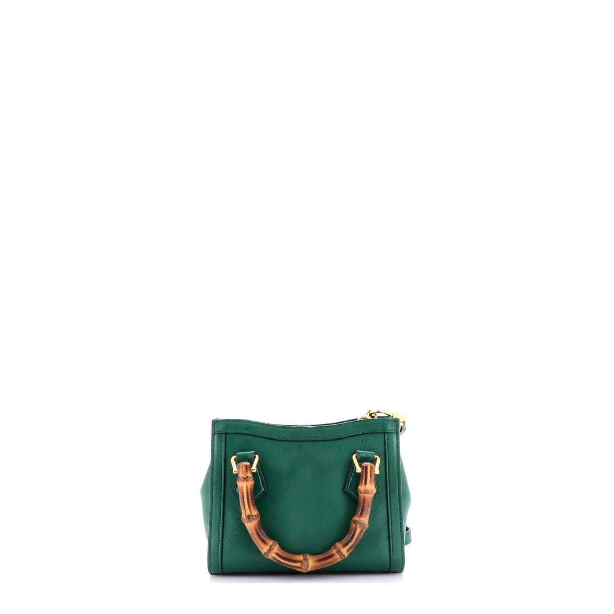 Diana NM Bamboo Handle Tote Leather Mini
