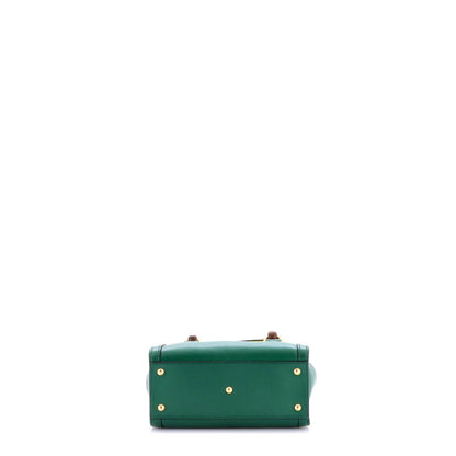 Diana NM Bamboo Handle Tote Leather Mini