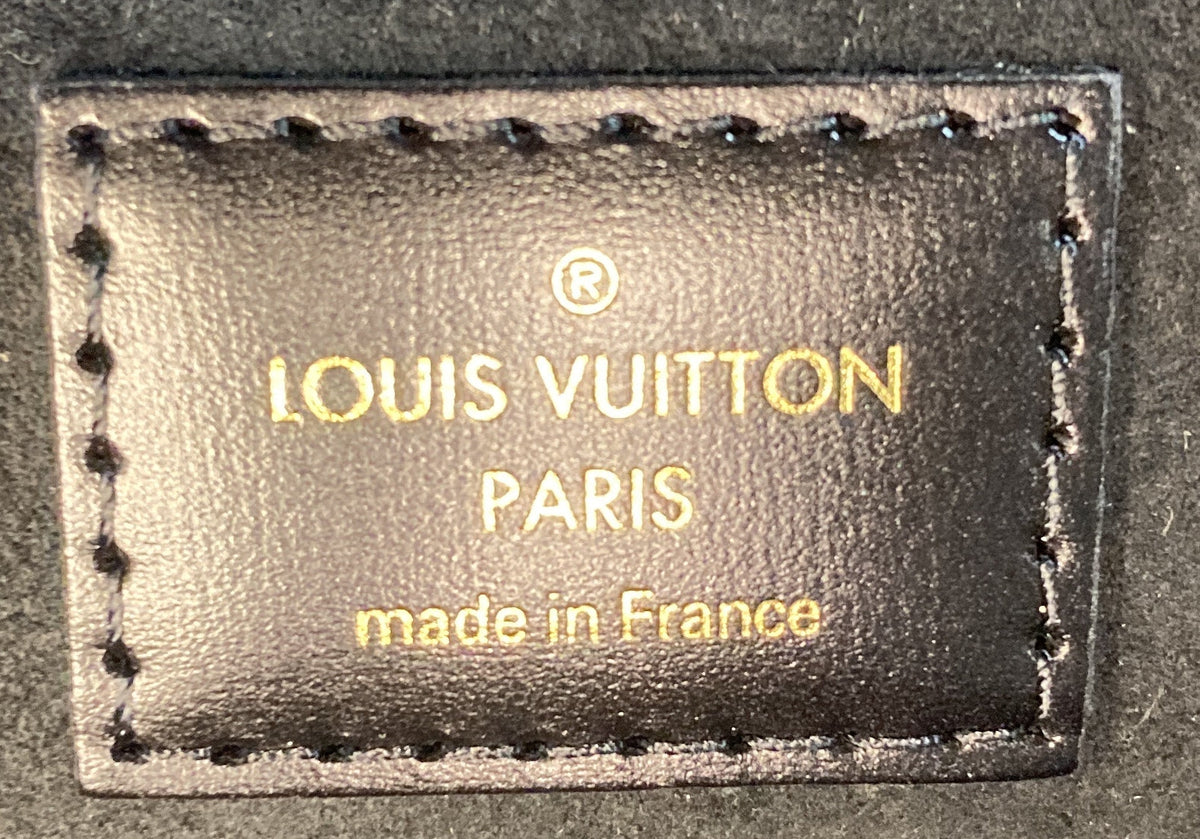 Vanity Handbag Reverse Monogram Canvas PM