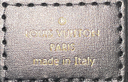 Vanity Handbag Reverse Monogram Canvas PM
