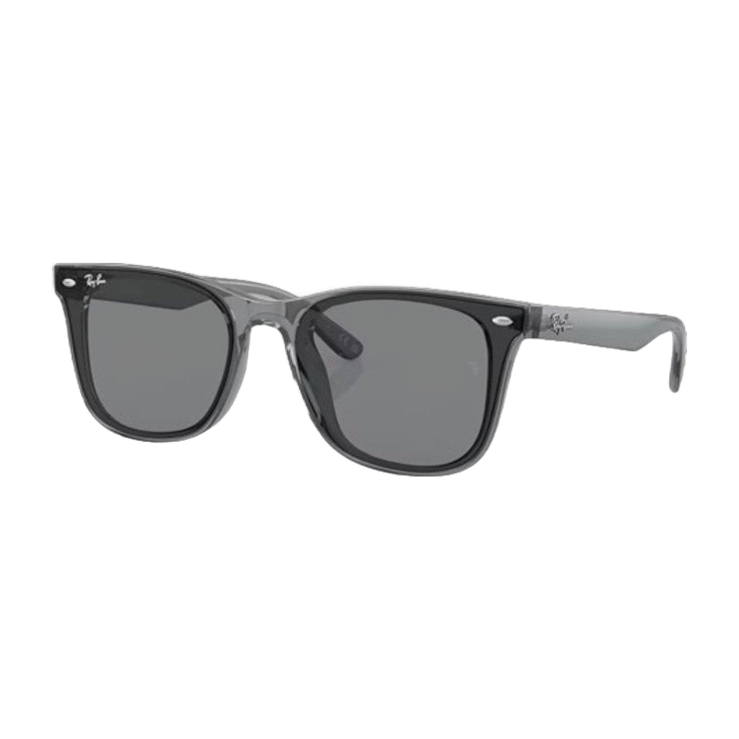 RayBan Sunglasses RB4391D 645087 65