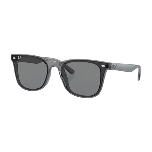 RayBan Sunglasses RB4391D 645087 65
