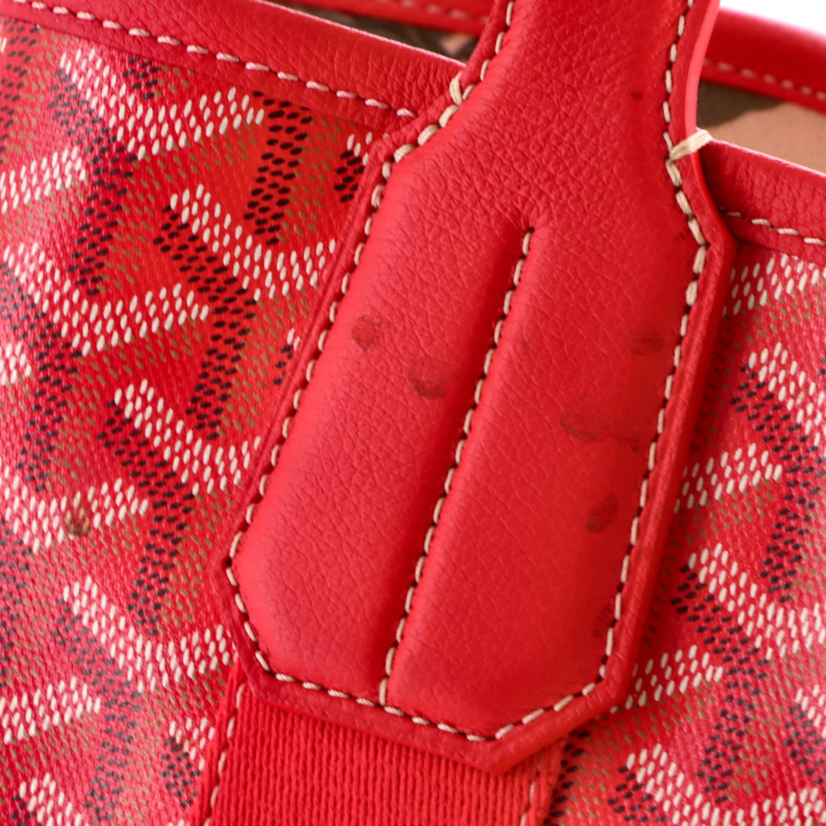 Belharra Tote Coated Canvas PM