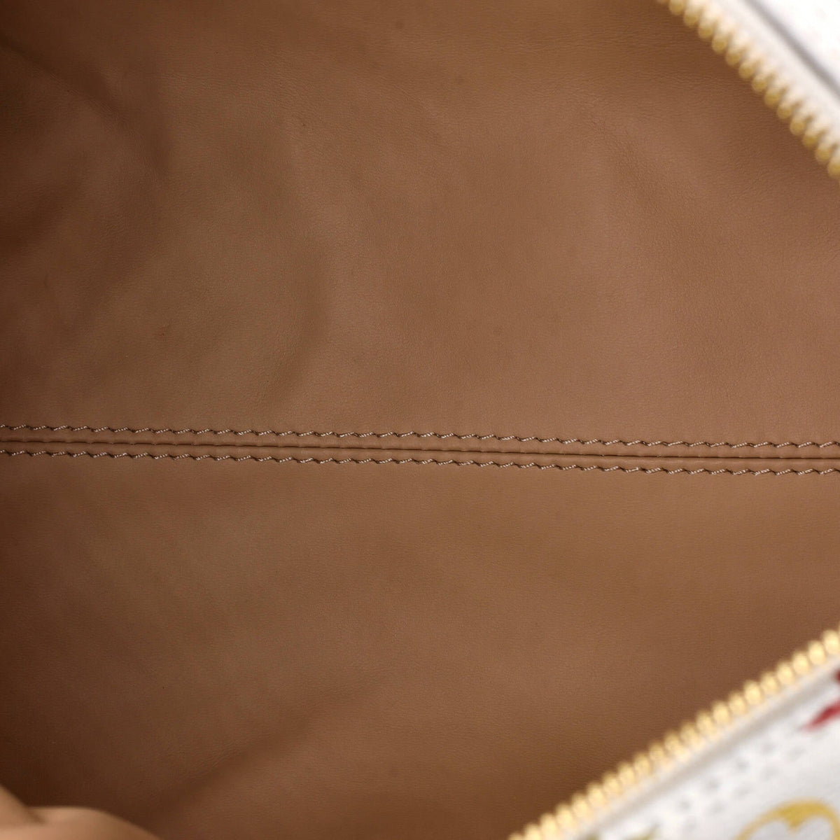 x Takashi Murakami Speedy Soft Bandouliere Bag Monogram Multicolor 30