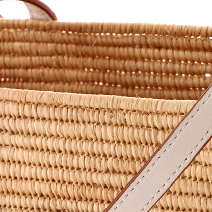 Square Basket Tote Woven Raffia Small