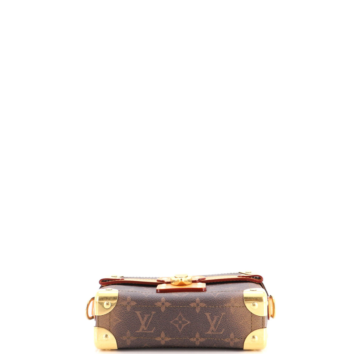 Soul Trunk Bag Monogram Dust Leather