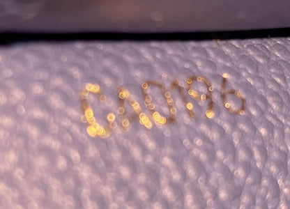 Sarah Wallet NM Monogram Empreinte Leather