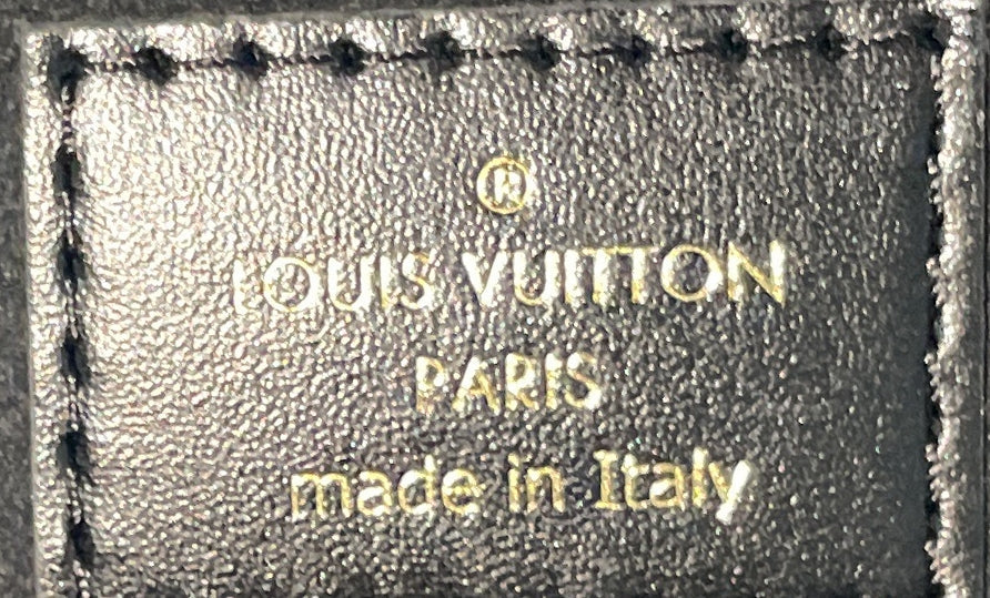 Vanity Handbag Reverse Monogram Canvas PM