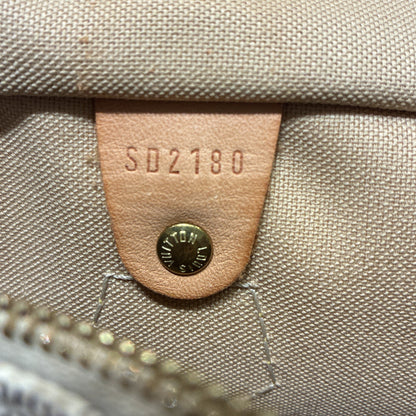 Speedy Handbag Damier 30