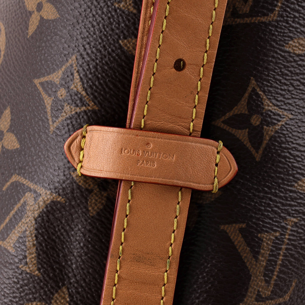 CarryAll Hobo Monogram Canvas PM