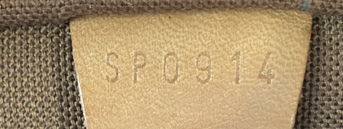 Speedy Handbag Monogram Canvas 30