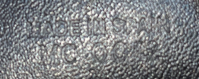 Vintage Saddle Bag Diorissimo Canvas Mini