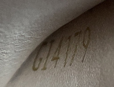 Vertical Trunk Pochette Monogram Canvas