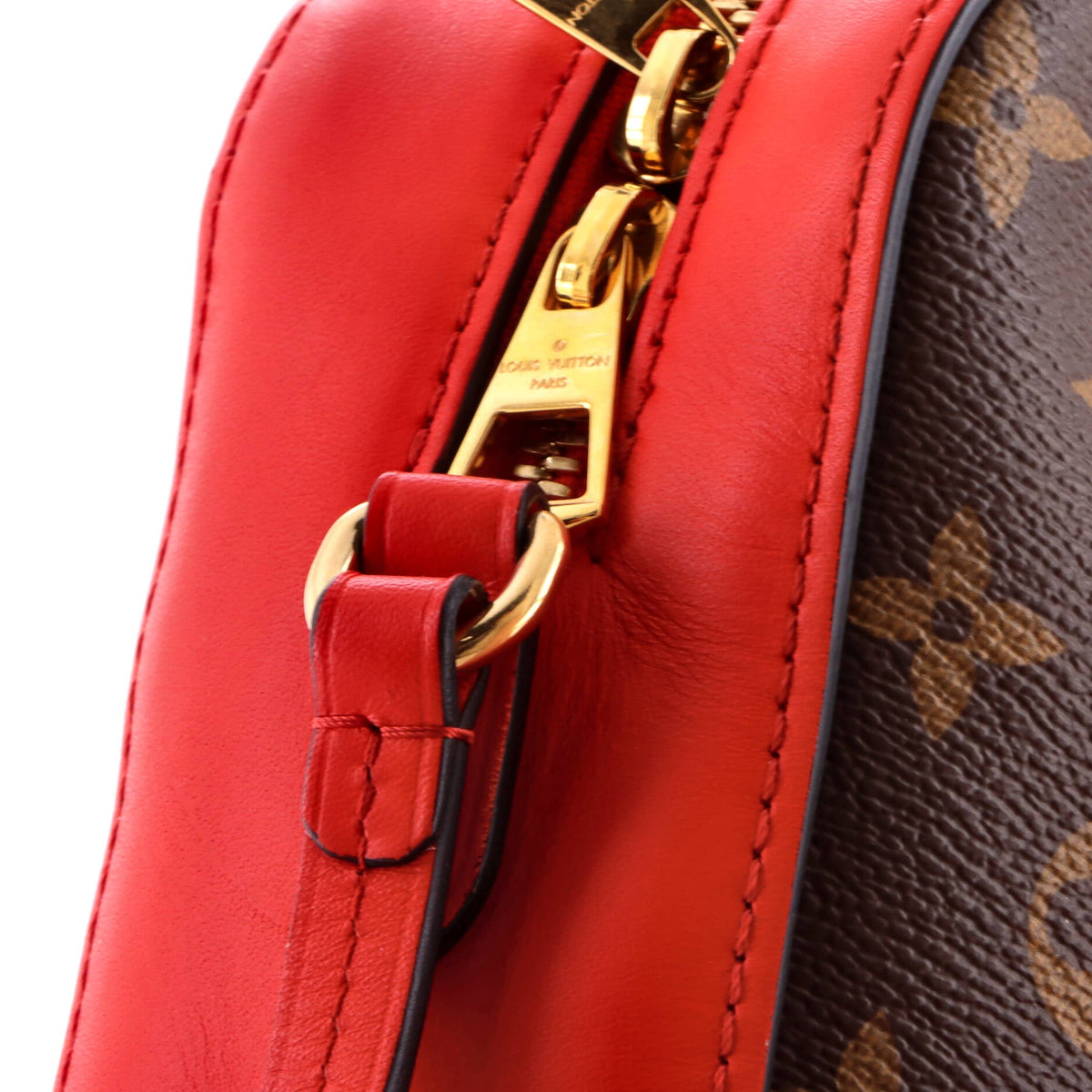 Saintonge Handbag Monogram Canvas with Leather
