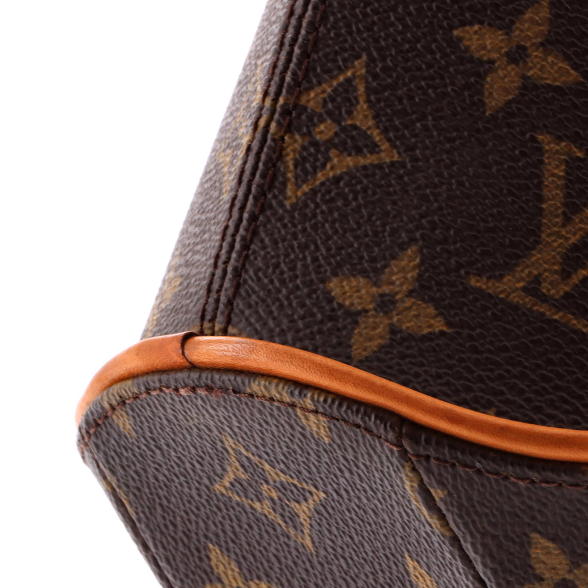 Ellipse Bag Monogram Canvas PM
