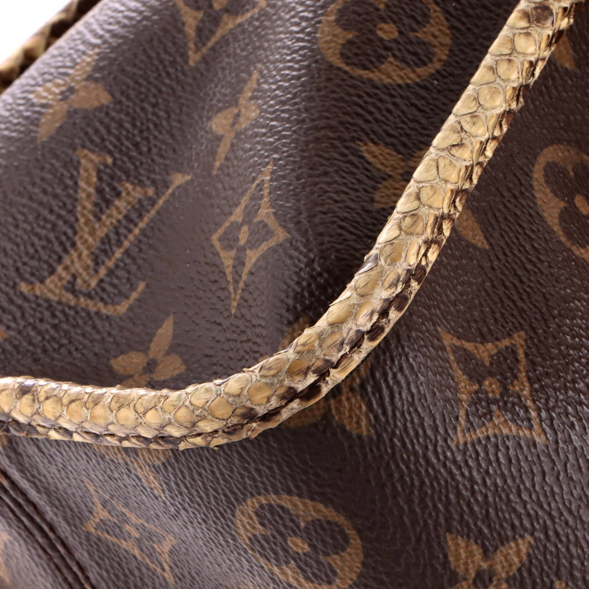 Popincourt NM Handbag Monogram Canvas with Python MM