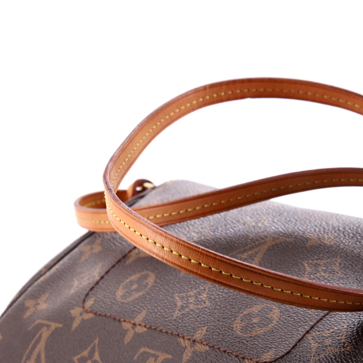 Favorite Handbag Monogram Canvas MM