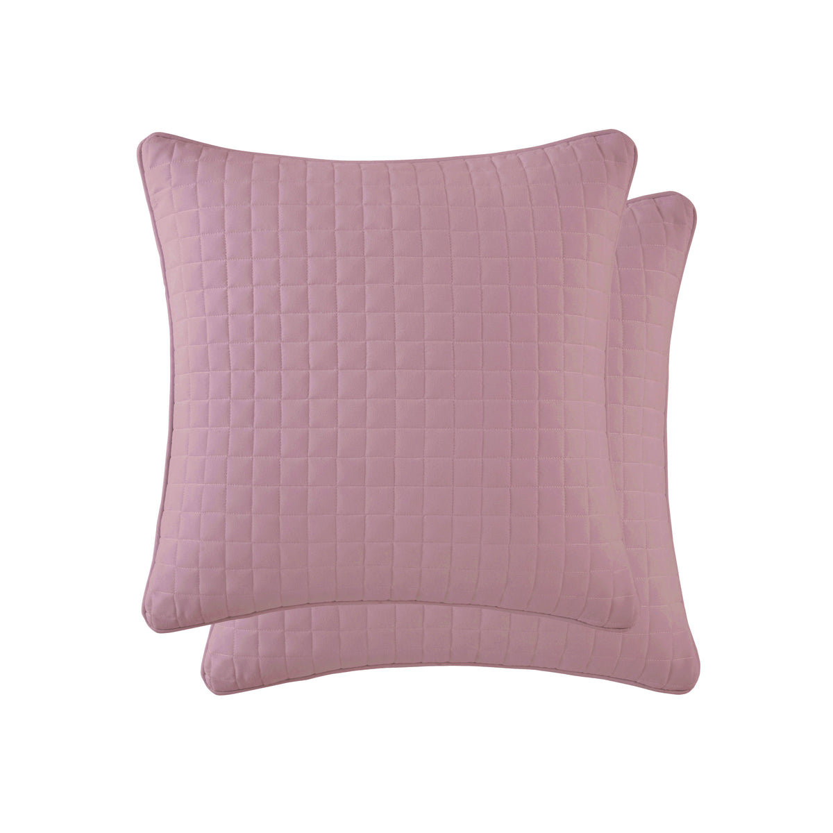 Lavender-