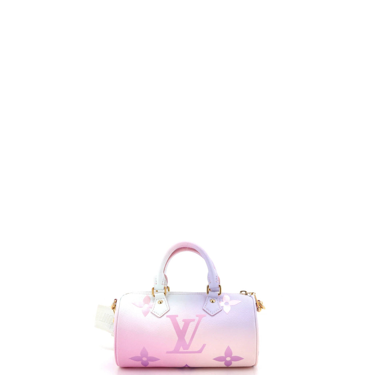 Papillon Handbag Spring in the City Monogram Giant Canvas BB