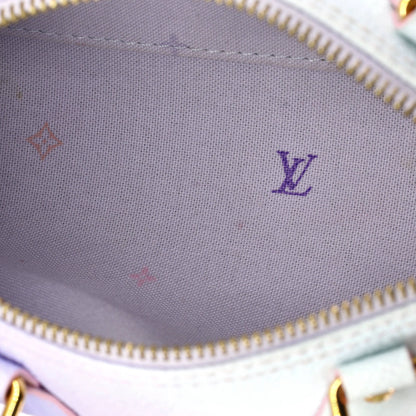 Papillon Handbag Spring in the City Monogram Giant Canvas BB