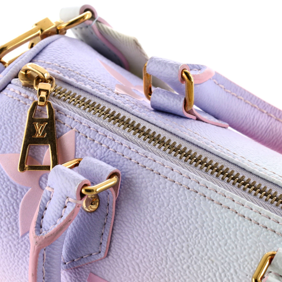 Papillon Handbag Spring in the City Monogram Giant Canvas BB