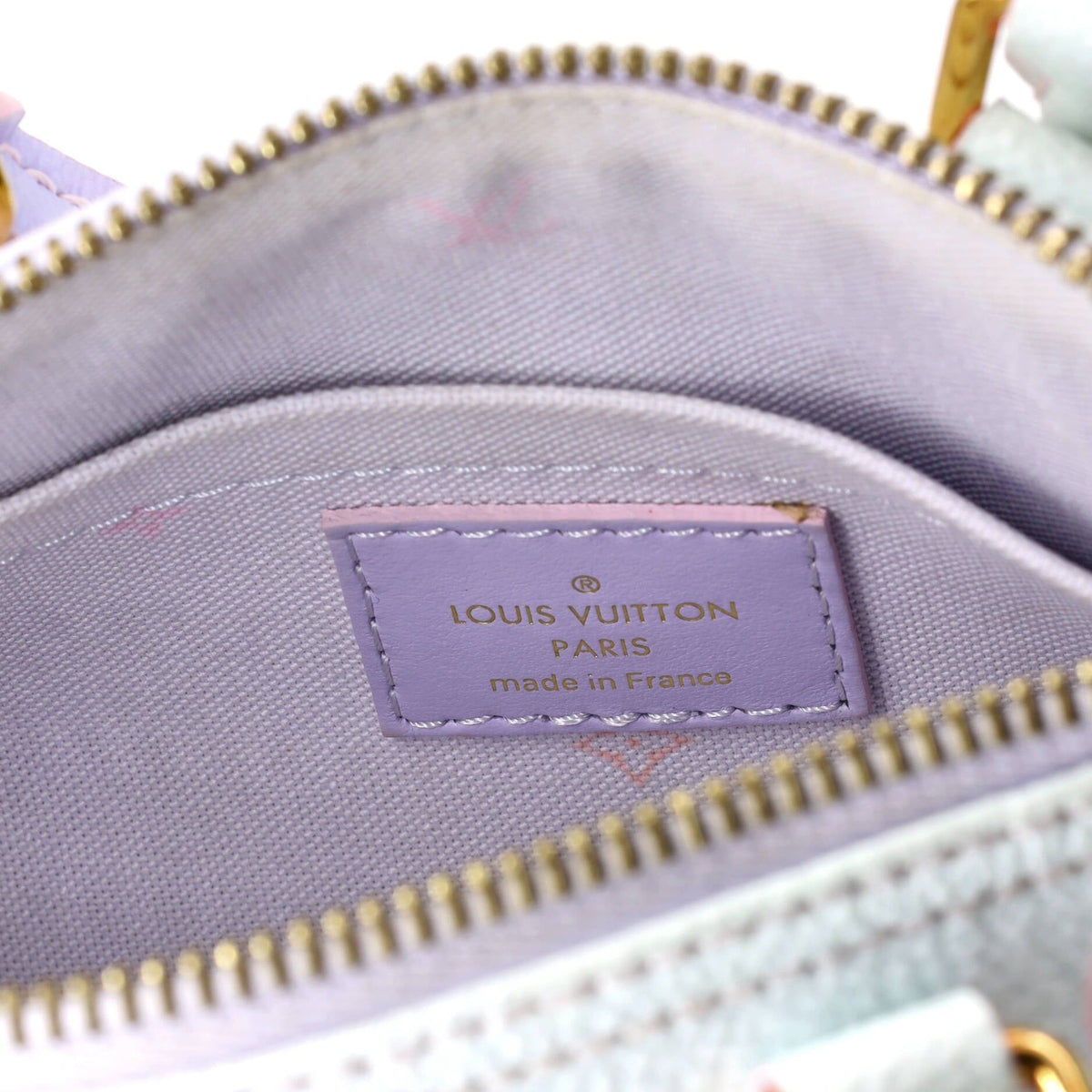 Papillon Handbag Spring in the City Monogram Giant Canvas BB