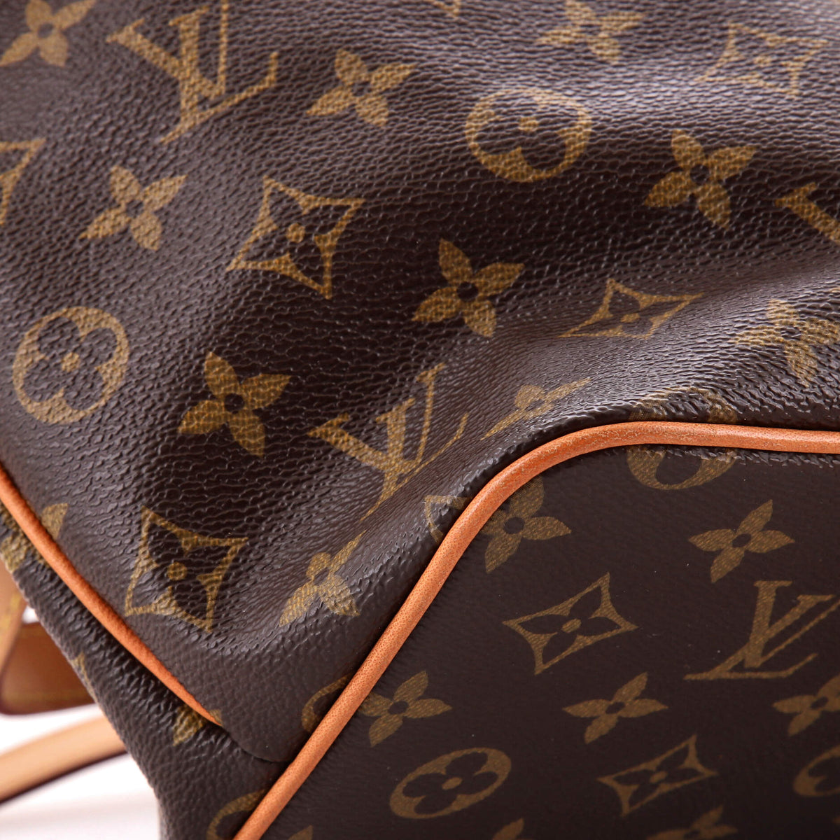 Palermo Handbag Monogram Canvas PM